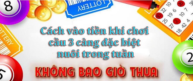 Dàn đề 3 càng miền bắc